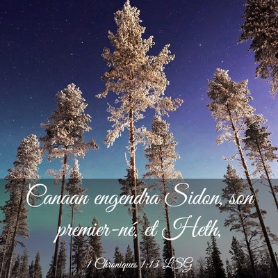 Picture 03 - 1 Chroniques 1:13 LSG - Canaan engendra Sidon, son premier-né, et - Bible Verse Picture