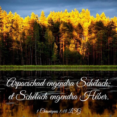 Picture 03 - 1 Chroniques 1:18 LSG - Arpacschad engendra Schélach; et Schélach - Bible Verse Picture