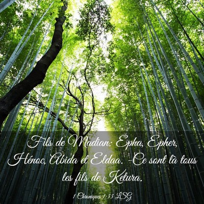 Picture 03 - 1 Chroniques 1:33 LSG - Fils de Madian: Epha, Epher, Hénoc, Abida et - Bible Verse Picture