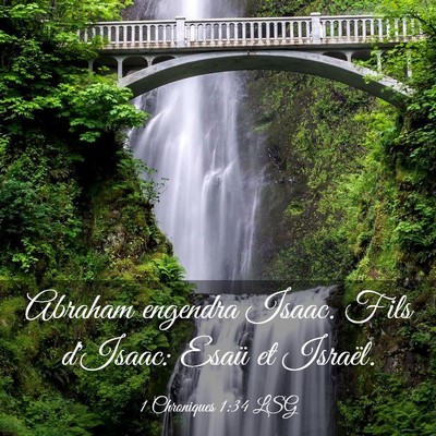 Picture 03 - 1 Chroniques 1:34 LSG - Abraham engendra Isaac. Fils d'Isaac: Esaü et - Bible Verse Picture