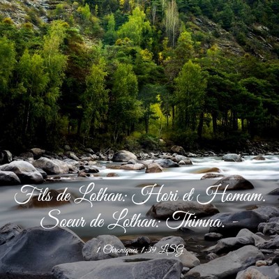 Picture 03 - 1 Chroniques 1:39 LSG - Fils de Lothan: Hori et Homam. Soeur de Lothan: - Bible Verse Picture