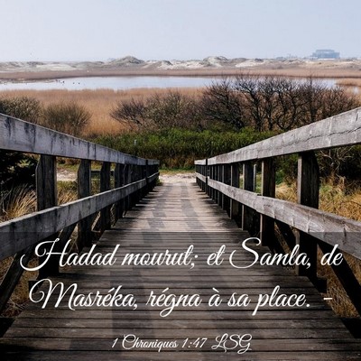Picture 03 - 1 Chroniques 1:47 LSG - Hadad mourut; et Samla, de Masréka, régna à sa - Bible Verse Picture