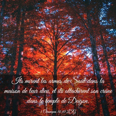 Picture 03 - 1 Chroniques 10:10 LSG - Ils mirent les armes de Saül dans la maison de - Bible Verse Picture