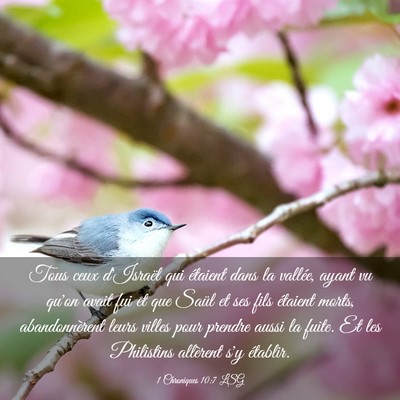 Picture 03 - 1 Chroniques 10:7 LSG - Tous ceux d'Israël qui étaient dans la vallée, - Bible Verse Picture