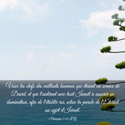 Picture 03 - 1 Chroniques 11:10 LSG - Voici les chefs des vaillants hommes qui étaient - Bible Verse Picture