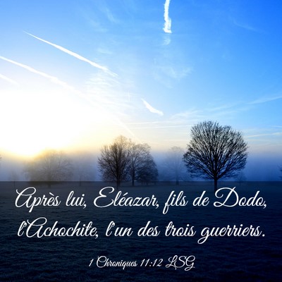 Picture 03 - 1 Chroniques 11:12 LSG - Après lui, Eléazar, fils de Dodo, l'Achochite, - Bible Verse Picture