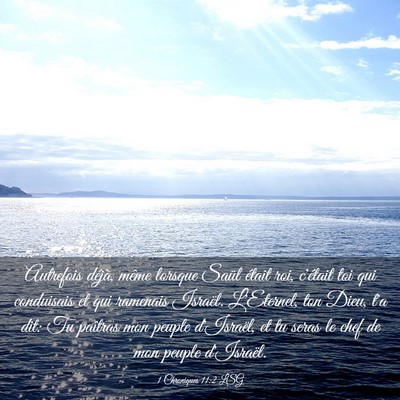 Picture 03 - 1 Chroniques 11:2 LSG - Autrefois déjà, même lorsque Saül était roi, - Bible Verse Picture
