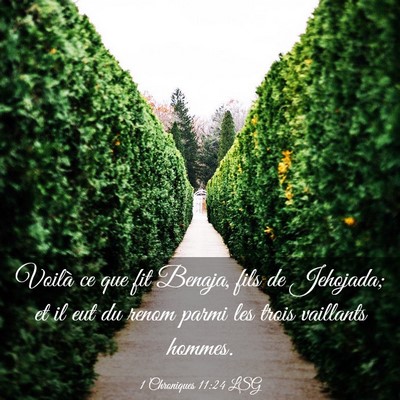 Picture 03 - 1 Chroniques 11:24 LSG - Voilà ce que fit Benaja, fils de Jehojada; et il - Bible Verse Picture