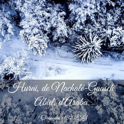 Picture 03 - 1 Chroniques 11:32 LSG - Huraï, de Nachalé-Gaasch. Abiel, - Bible Verse Picture