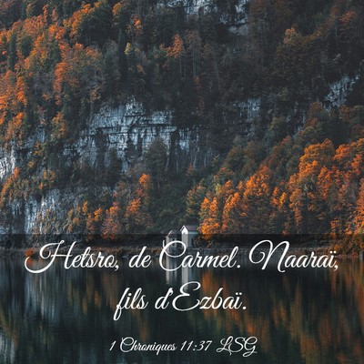 Picture 03 - 1 Chroniques 11:37 LSG - Hetsro, de Carmel. Naaraï, fils - Bible Verse Picture