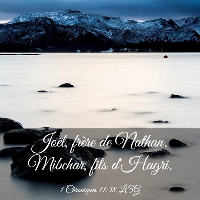 Picture 03 - 1 Chroniques 11:38 LSG - Joël, frère de Nathan. Mibchar, fils - Bible Verse Picture