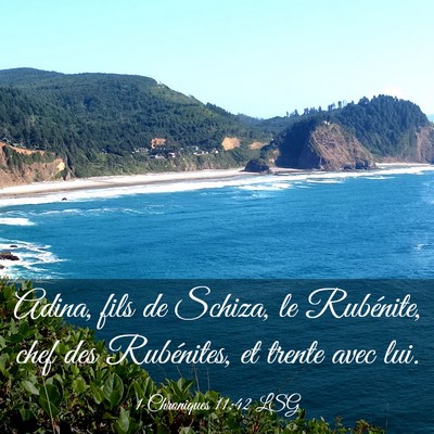 Picture 03 - 1 Chroniques 11:42 LSG - Adina, fils de Schiza, le Rubénite, chef des - Bible Verse Picture
