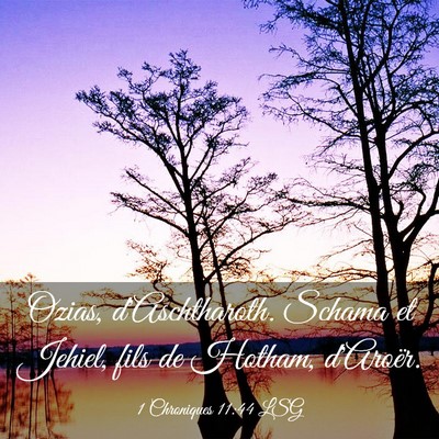 Picture 03 - 1 Chroniques 11:44 LSG - Ozias, d'Aschtharoth. Schama et Jehiel, fils de - Bible Verse Picture