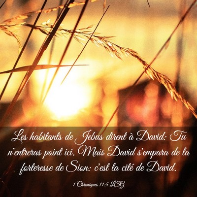 Picture 03 - 1 Chroniques 11:5 LSG - Les habitants de Jebus dirent à David: Tu - Bible Verse Picture