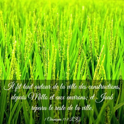 Picture 03 - 1 Chroniques 11:8 LSG - Il fit tout autour de la ville des constructions, - Bible Verse Picture
