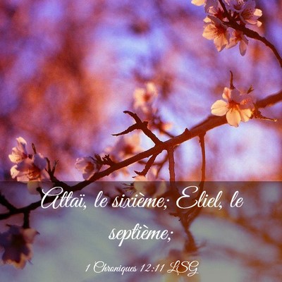 Picture 03 - 1 Chroniques 12:11 LSG - Attaï, le sixième; Eliel, le - Bible Verse Picture