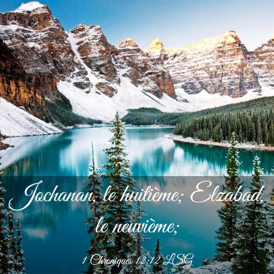 Picture 03 - 1 Chroniques 12:12 LSG - Jochanan, le huitième; Elzabad, le - Bible Verse Picture