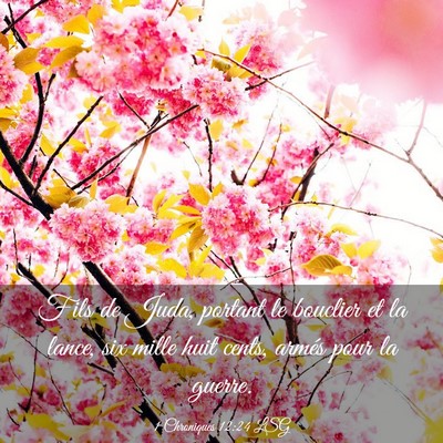 Picture 03 - 1 Chroniques 12:24 LSG - Fils de Juda, portant le bouclier et la lance, - Bible Verse Picture