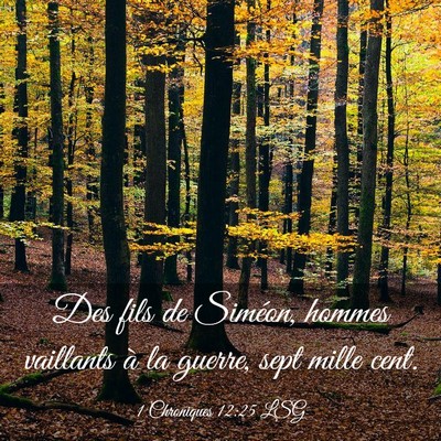 Picture 03 - 1 Chroniques 12:25 LSG - Des fils de Siméon, hommes vaillants à la - Bible Verse Picture