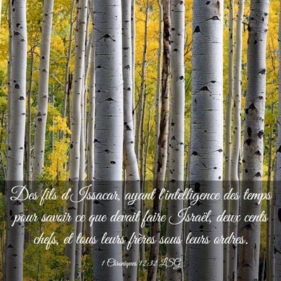 Picture 03 - 1 Chroniques 12:32 LSG - Des fils d'Issacar, ayant l'intelligence des - Bible Verse Picture