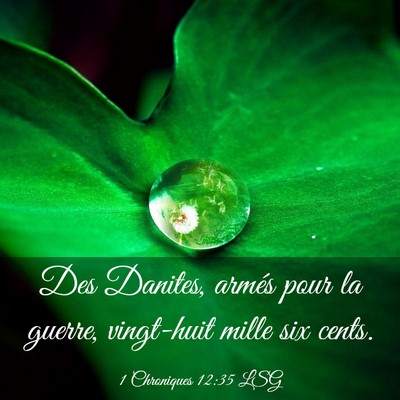 Picture 03 - 1 Chroniques 12:35 LSG - Des Danites, armés pour la guerre, vingt-huit - Bible Verse Picture