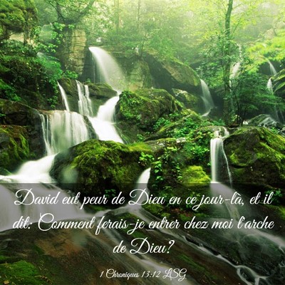 Picture 03 - 1 Chroniques 13:12 LSG - David eut peur de Dieu en ce jour-là, et il dit: - Bible Verse Picture