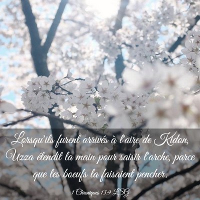 Picture 03 - 1 Chroniques 13:9 LSG - Lorsqu'ils furent arrivés à l'aire de Kidon, - Bible Verse Picture