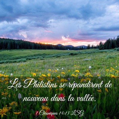 Picture 03 - 1 Chroniques 14:13 LSG - Les Philistins se répandirent de nouveau dans la - Bible Verse Picture