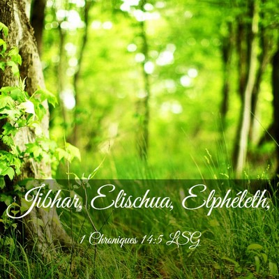 Picture 03 - 1 Chroniques 14:5 LSG - Jibhar, Elischua, - Bible Verse Picture