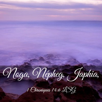 Picture 03 - 1 Chroniques 14:6 LSG - Noga, Népheg, - Bible Verse Picture