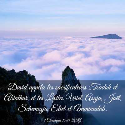 Picture 03 - 1 Chroniques 15:11 LSG - David appela les sacrificateurs Tsadok et - Bible Verse Picture