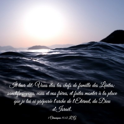 Picture 03 - 1 Chroniques 15:12 LSG - Il leur dit: Vous êtes les chefs de famille des - Bible Verse Picture