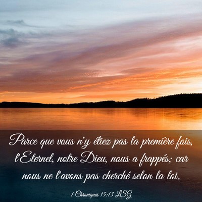 Picture 03 - 1 Chroniques 15:13 LSG - Parce que vous n'y étiez pas la première fois, - Bible Verse Picture