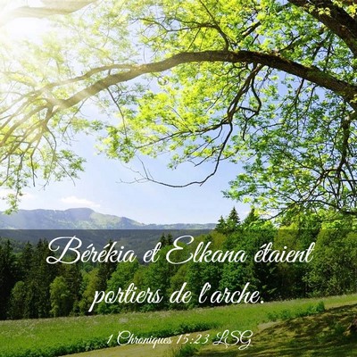 Picture 03 - 1 Chroniques 15:23 LSG - Bérékia et Elkana étaient portiers de - Bible Verse Picture