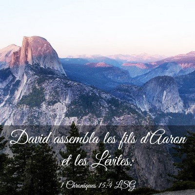 Picture 03 - 1 Chroniques 15:4 LSG - David assembla les fils d'Aaron et les - Bible Verse Picture