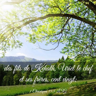 Picture 03 - 1 Chroniques 15:5 LSG - des fils de Kehath, Uriel le chef et ses frères, - Bible Verse Picture