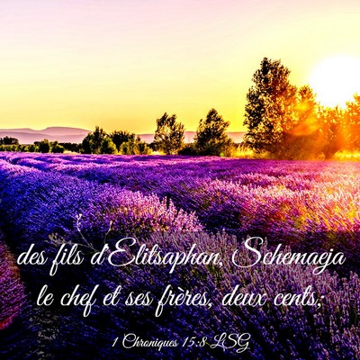 Picture 03 - 1 Chroniques 15:8 LSG - des fils d'Elitsaphan, Schemaeja le chef et ses - Bible Verse Picture