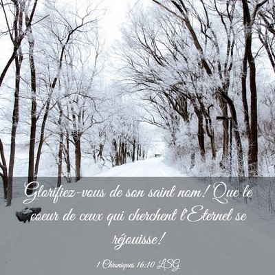 Picture 03 - 1 Chroniques 16:10 LSG - Glorifiez-vous de son saint nom! Que le coeur de - Bible Verse Picture