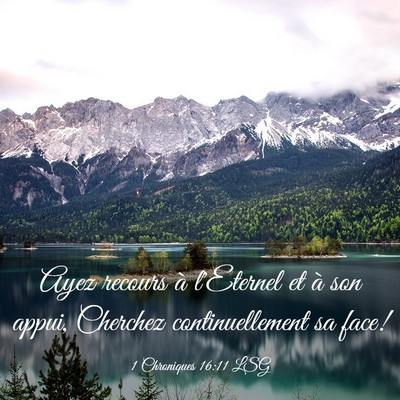 Picture 03 - 1 Chroniques 16:11 LSG - Ayez recours à l'Eternel et à son appui, - Bible Verse Picture