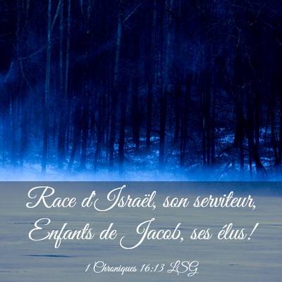 Picture 03 - 1 Chroniques 16:13 LSG - Race d'Israël, son serviteur, Enfants de Jacob, - Bible Verse Picture