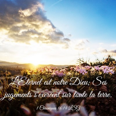 Picture 03 - 1 Chroniques 16:14 LSG - L'Eternel est notre Dieu; Ses jugements - Bible Verse Picture