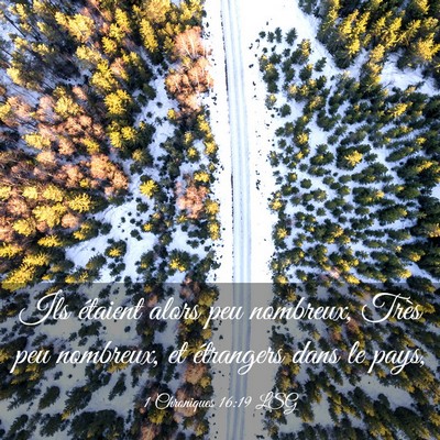 Picture 03 - 1 Chroniques 16:19 LSG - Ils étaient alors peu nombreux, Très peu - Bible Verse Picture