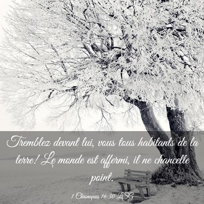 Picture 03 - 1 Chroniques 16:30 LSG - Tremblez devant lui, vous tous habitants de la - Bible Verse Picture
