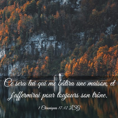 Picture 03 - 1 Chroniques 17:12 LSG - Ce sera lui qui me bâtira une maison, et - Bible Verse Picture