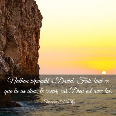 Picture 03 - 1 Chroniques 17:2 LSG - Nathan répondit à David: Fais tout ce que tu as - Bible Verse Picture