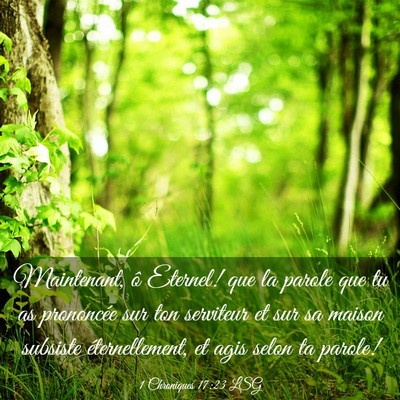 Picture 03 - 1 Chroniques 17:23 LSG - Maintenant, ô Eternel! que la parole que tu as - Bible Verse Picture