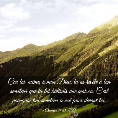 Picture 03 - 1 Chroniques 17:25 LSG - Car toi-même, ô mon Dieu, tu as révélé à - Bible Verse Picture