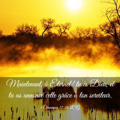 Picture 03 - 1 Chroniques 17:26 LSG - Maintenant, ô Eternel! tu es Dieu, et tu as - Bible Verse Picture