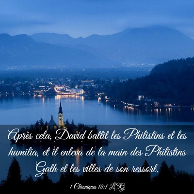 Picture 03 - 1 Chroniques 18:1 LSG - Après cela, David battit les Philistins et les - Bible Verse Picture