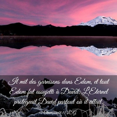 Picture 03 - 1 Chroniques 18:13 LSG - Il mit des garnisons dans Edom, et tout Edom fut - Bible Verse Picture